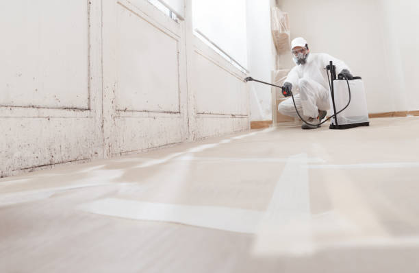 24/7 Emergency Mold Remediation experts in Sumner, IL