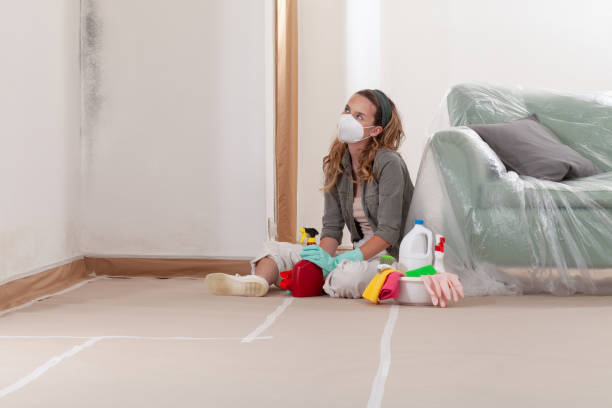 Reliable Mold Remediation contractor in Sumner, IL by 24 Hour Mold Removal